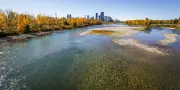 Kayakers Rescue Man from Bow River Before Fire Crews Arrive in Calgary