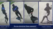 LaSalle Police Seek Suspects in Rock-Throwing Vandalism Incident