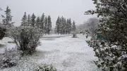 Late Spring Snowfall Covers Cape Breton in Unusual May Scene