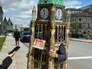 Liberal climate caucus co-chair backs Carney's policies 'absolutely'