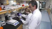 London Leads Largest Canadian Clinical Trial Using 'Poop Pills' for Lung Cancer