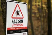 Lyme Disease Cases in Montreal Reach 20-Year High