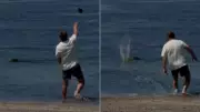 Man Arrested for Throwing Rock at Endangered Monk Seal in Hawaii
