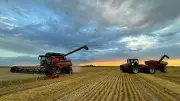 Manitoba Falls Behind on Spring Seeding Progress in 2026