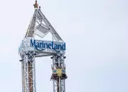 Marineland bears moving to Colorado sanctuary