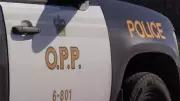 Markdale Driver Charged in Arthur Collision That Killed Dog, Injured Pedestrian