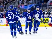 Marlies advance in AHL playoffs, embrace beer-throwing incident