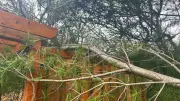 Mattawa Storm Damage Caused by Downburst, Officials Confirm