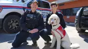 Meet Moka: Nipissing Victim Services' Newest Support Dog