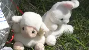 Memorial Grows for 2 Children Found Dead in Northwest Calgary