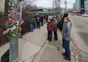 Memorial installations honour pedestrians killed on Toronto streets