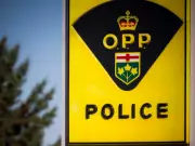 Mississippi Mills Man Killed in Single-Vehicle Crash on May 13