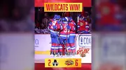 Moncton Wildcats Triumph in Game 7 Over Armada, Advance in Playoffs