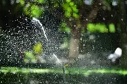 Montreal Residents Asked to Reduce Water Consumption This Summer