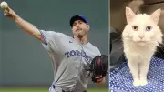 Moose Jaw Humane Society names cat after Blue Jays pitcher Max Scherzer