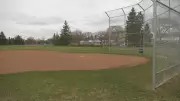 Most Edmonton Sports Fields Open Friday Despite Snowfall