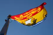 N.B. court rejects appeals of two men in 2022 Saint John murder