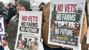 N.B. Extends Vet Services to March After Meeting with Agricultural Alliance