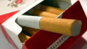 N.B. Man, Woman Arrested After 280,000 Unstamped Cigarettes Seized
