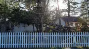 New Arboretum Planned After Fiona Devastated Nova Scotia Trees