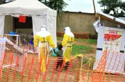 New Ebola Outbreak in Congo Confirmed with 65 Deaths Recorded