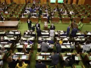 New House of Commons Design: Benches, Cinema Seats, and Front Bench Desks