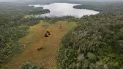 New Nature Reserve Announced in Nova Scotia's Digby County