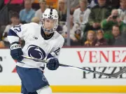 NHL Draft Lottery's Fickle Luck: From Aki Berg to Matthew Schaefer