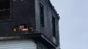 North Sydney Fire Crews Rescue Service Dog from Burning Home