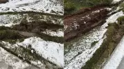 Ontario Couple Claims Amazon Courier Damaged Their Lawn
