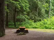 Ontario Judge Bans 11-Year-Old Girl from Nudist Camps Over Safety Concerns