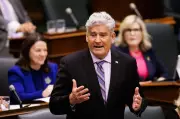 Ontario Liberal interim leader defends nomination process amid candidate controversy