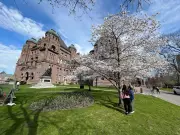 Ontario Rejects Alternate Work Requests Amid FIFA Union Demands