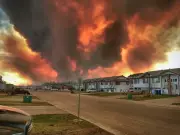 Opinion: National wildfire strategy needed to prevent another disaster