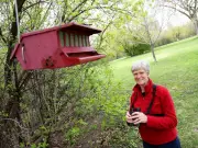 Ottawa Achieves Bird Friendly City Certification After Years of Advocacy
