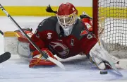 Ottawa Charge's Path in PWHL Expansion: Phases 1 and 2 Explained