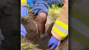 Ottawa Firefighters Rescue Child Trapped in Concrete Hole in Barrhaven