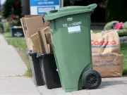 Ottawa Must Think Bigger on Green Bin Composting Options
