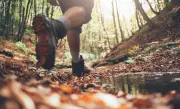 Ottawa Summer Hiking: 4 Trails and Tips for 2026