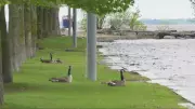 Ottawa's 20°C Streak Continues: Warm Weather Persists in Capital