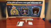 Pictou County Woman Charged After $10K Cocaine Seized in Trenton Home Raid