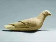 Pigeon Domestication Traced to 1400 BC in Cyprus, Study Finds