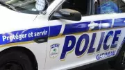 Pilot Uninjured After Small Plane Emergency Landing in Gatineau Field