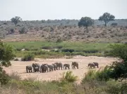 Poachers Suspected in Brutal Murder of Elderly Couple in South African Park