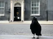 Possible contenders in UK Labour Party leadership race