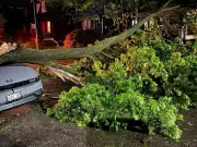 Power Outages Persist Across GTA After Severe Storm