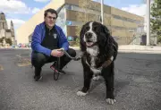 Quebec graduate with service dog who attended every class
