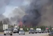 Recalling the 2016 Fort McMurray Wildfire: A Decade of Reflection