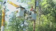 Regulator Rejects Hydro Ottawa's $6 Monthly Distribution Rate Hike