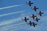 Retiring Snowbirds 'Unnecessary,' Aircraft 'Structurally Capable': Former MP